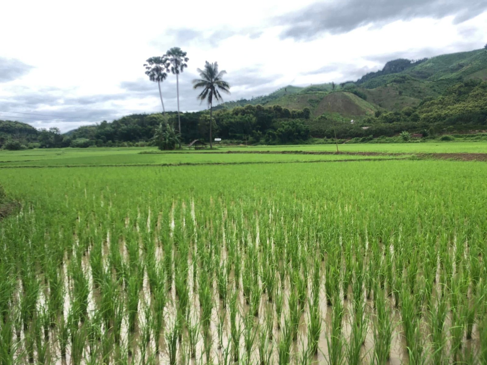 21 Days Explore Northern and Southern Laos By Bike
